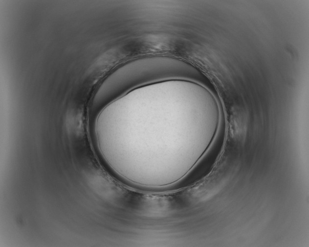 X0000112050520200908181139