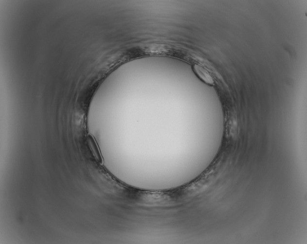 X0000112050521200908181139