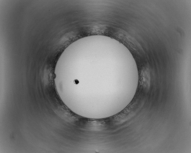 X0000112050522200908181139