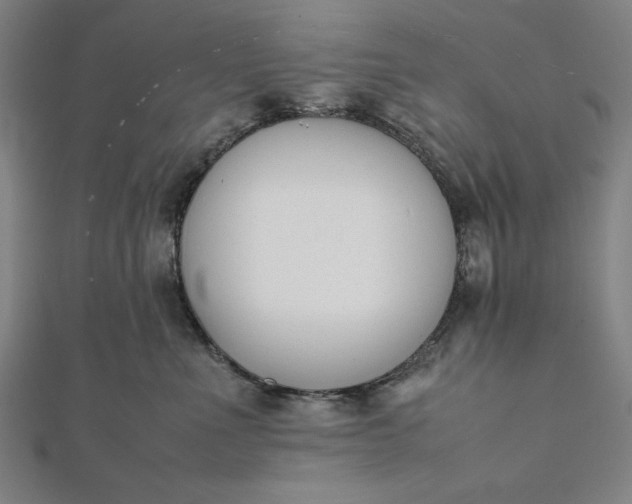 X0000112050523200908181139