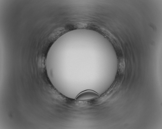 X0000112050525200908181139