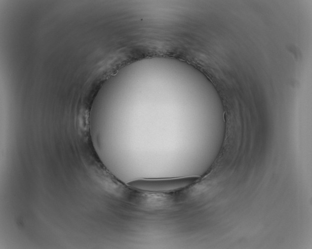 X0000112050528200908181139