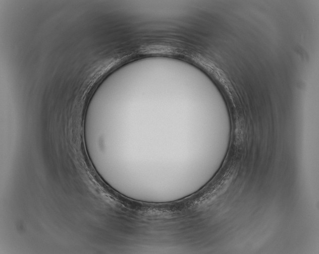 X0000112050529200908181138