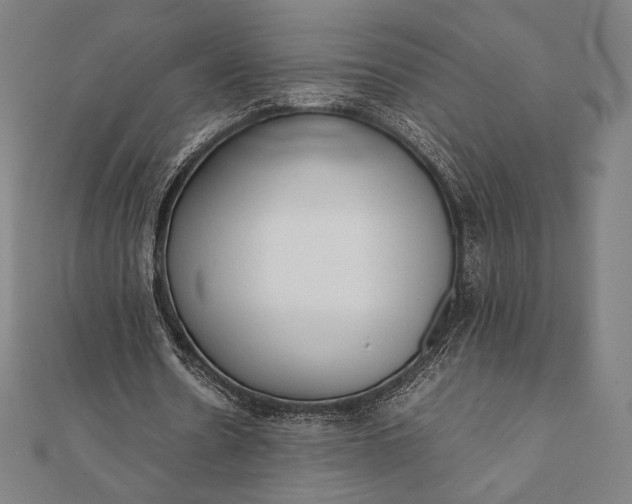 X0000112050530200908181138