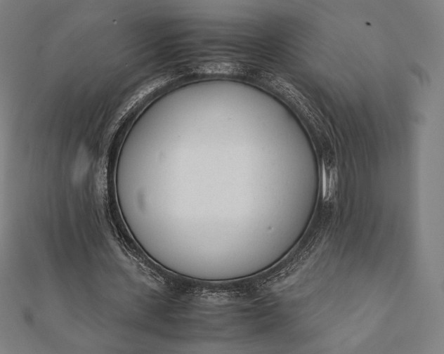 X0000112050531200908181138