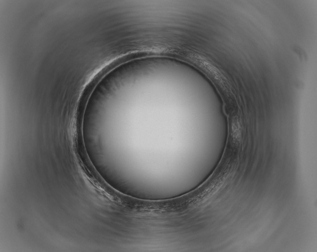 X0000112050532200908181138