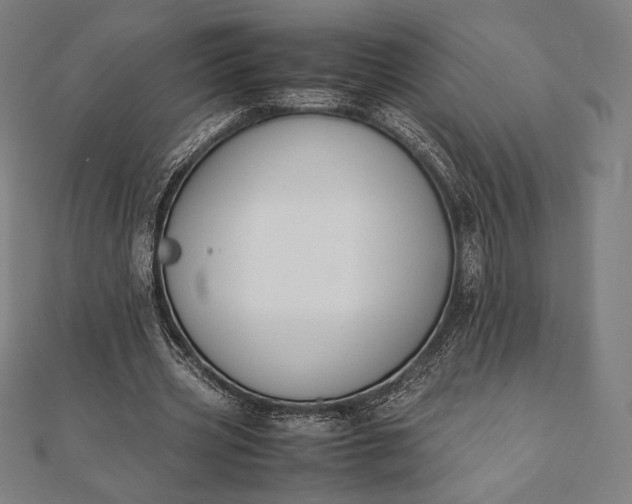 X0000112050533200908181138