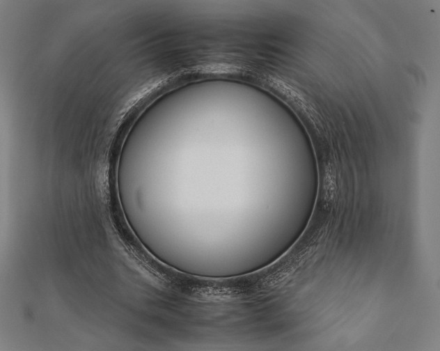 X0000112050535200908181138