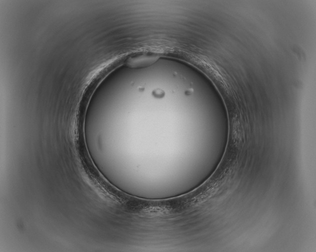 X0000112050536200908181138