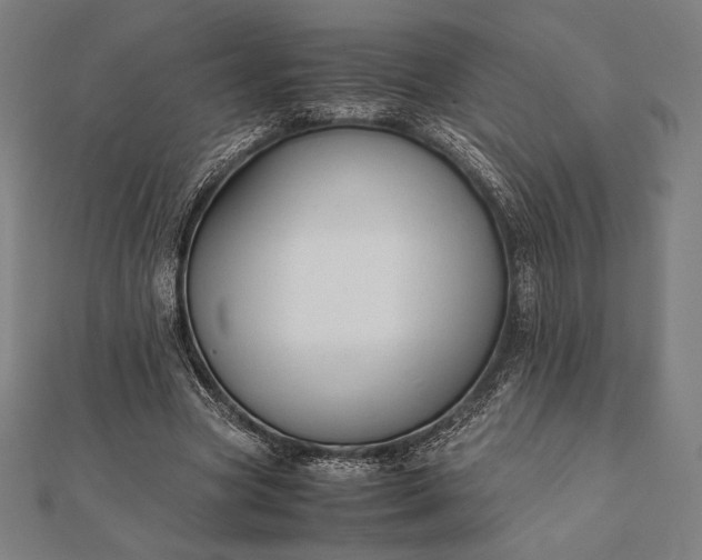 X0000112050537200908181138