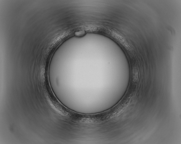 X0000112050538200908181138