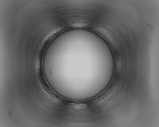 X0000112050539200908181138