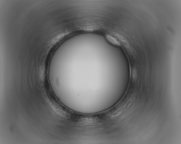 X0000112050540200908181138