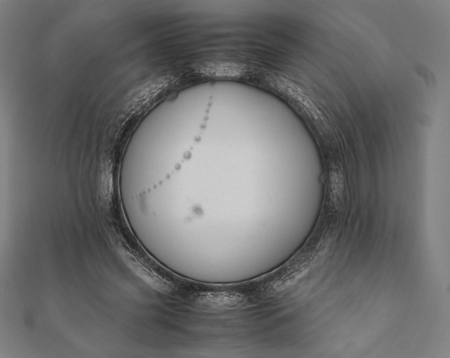 X0000112050541200908181138