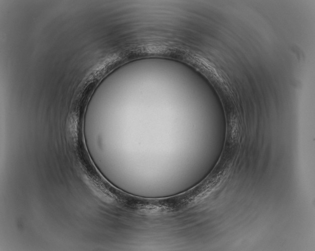 X0000112050542200908181138