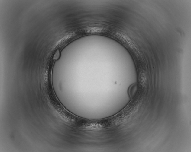 X0000112050543200908181138