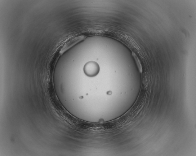 X0000112050544200908181138