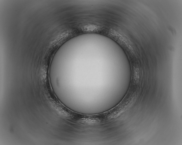 X0000112050545200908181138