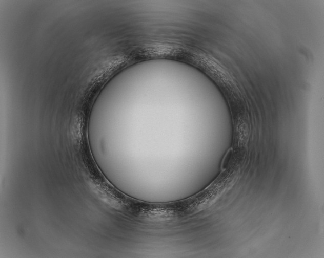 X0000112050546200908181138