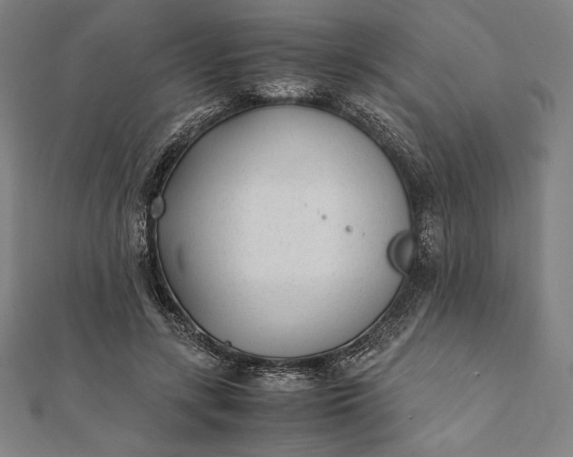 X0000112050547200908181138