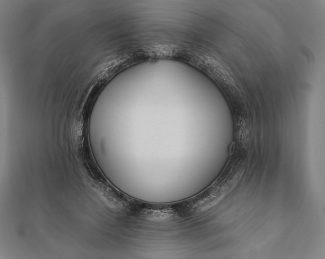 X0000112050548200908181139