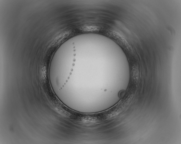 X0000112050549200908181139