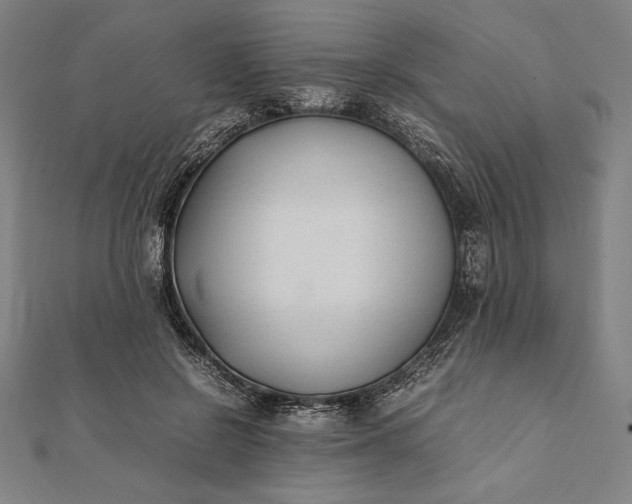 X0000112050550200908181139