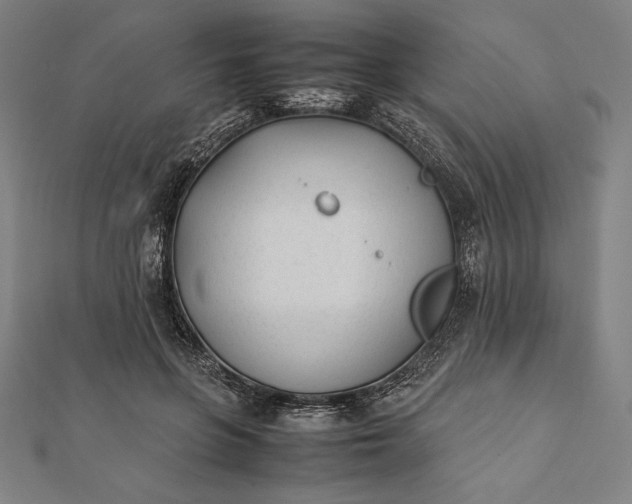 X0000112050551200908181139