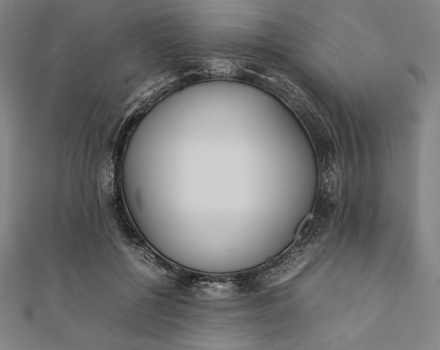 X0000112050552200908181139