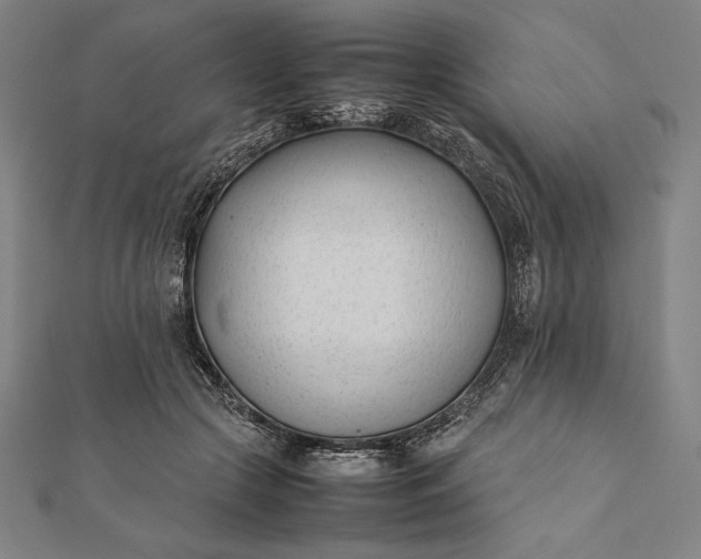 X0000112050553200908181139