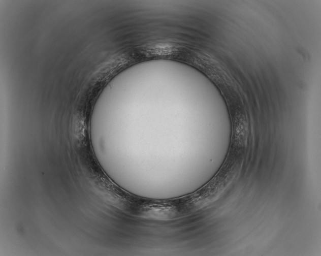 X0000112050555200908181139