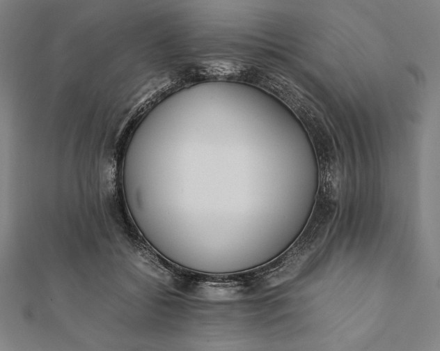 X0000112050556200908181139