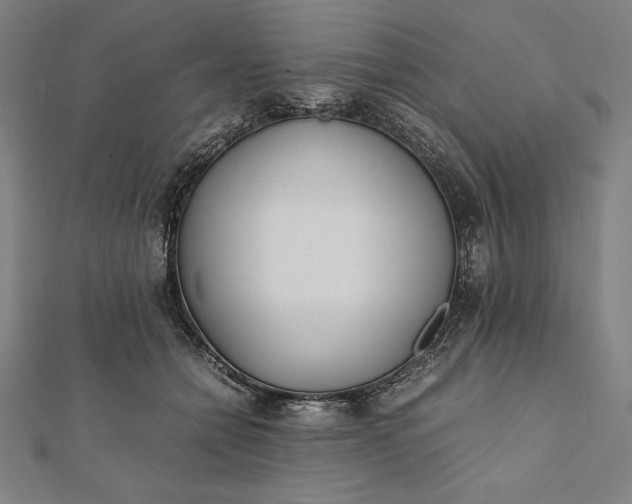 X0000112050558200908181139