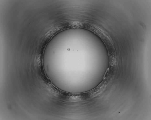 X0000112050560200908181139