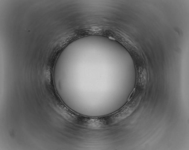 X0000112050562200908181139