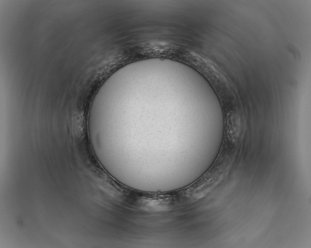 X0000112050563200908181139