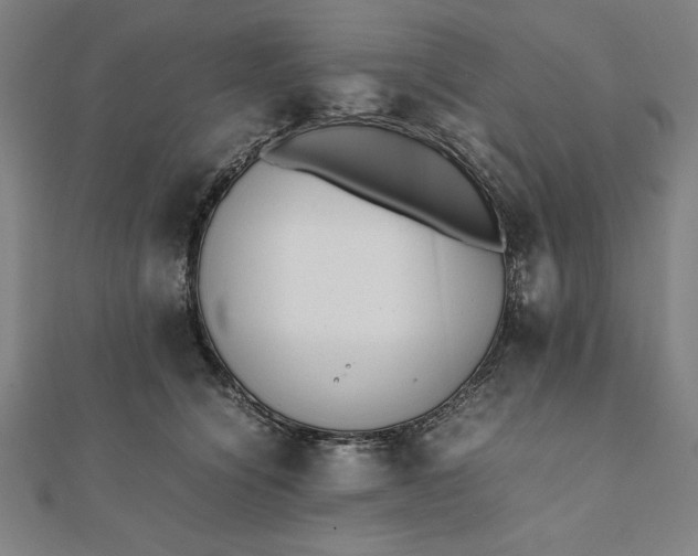 X0000112050564200908181139