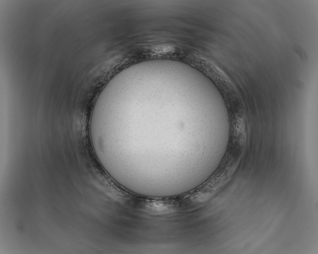 X0000112050565200908181139