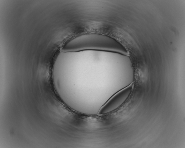 X0000112050566200908181139