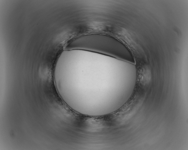 X0000112050568200908181139