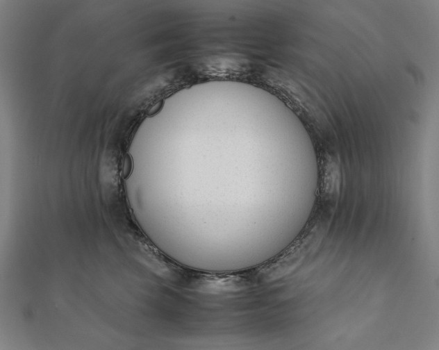 X0000112050569200908181139