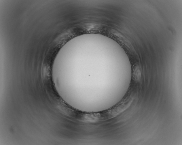 X0000112050571200908181139