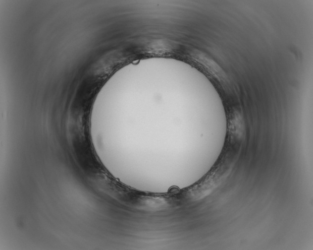 X0000112050572200908181139