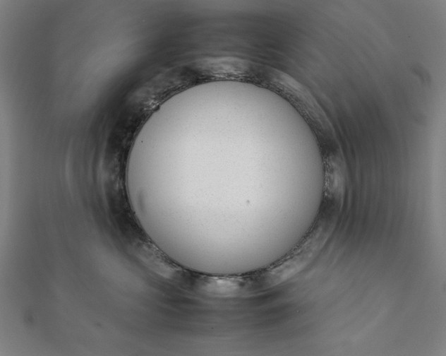 X0000112050573200908181139