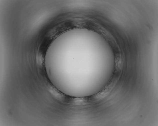 X0000112050574200908181139