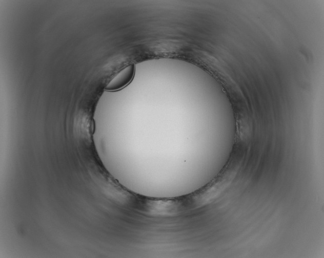 X0000112050575200908181139