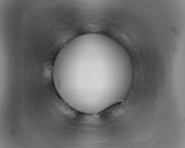 X0000112050576200908181139