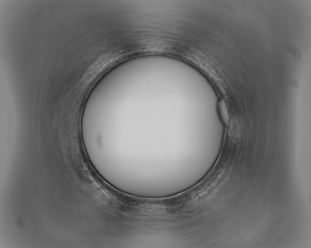 X0000112050577200908181138