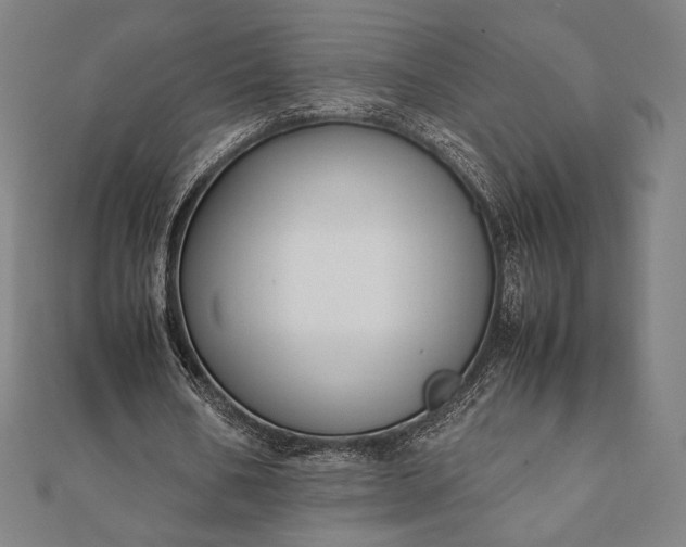 X0000112050578200908181138