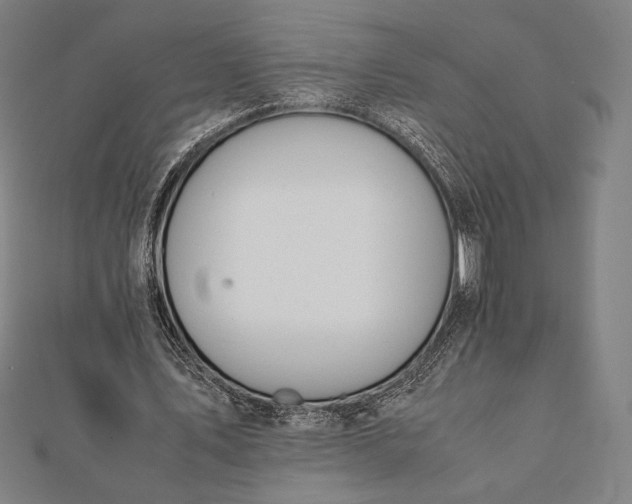 X0000112050579200908181138